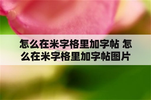 怎么在米字格里加字帖 怎么在米字格里加字帖图片